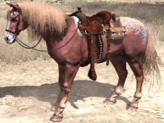 Painted Quarter Horse